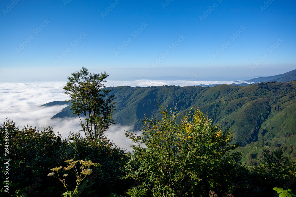 Beautiful Protected area of Kintrishi and Resort Gomismta. Amazing nature in mountain Georgia.