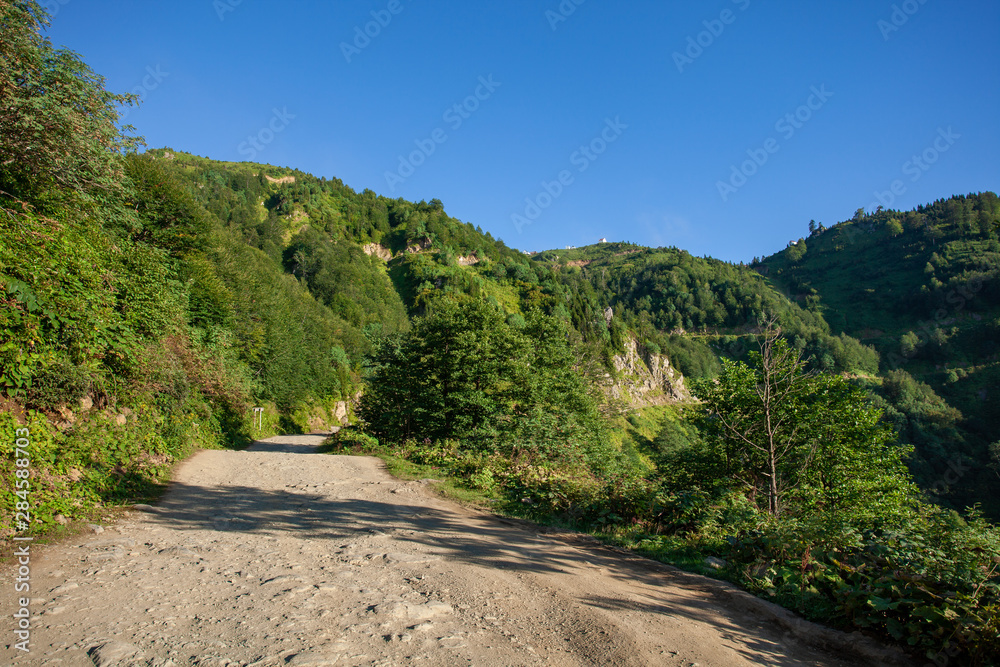 Beautiful nature of Georgia. The way to Gomismta.