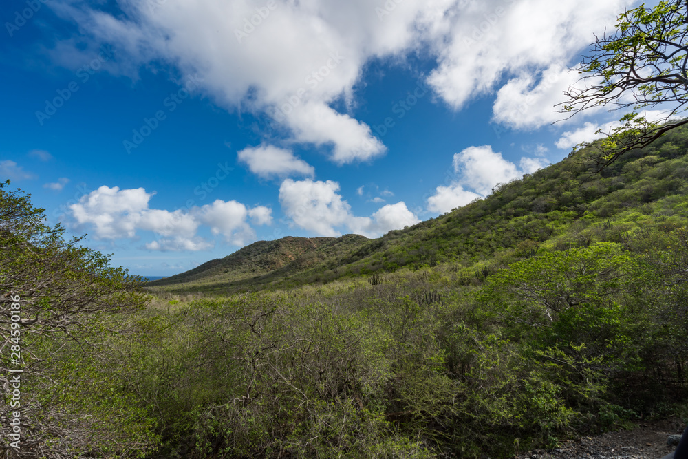 Walking in the Mundi of Curacao