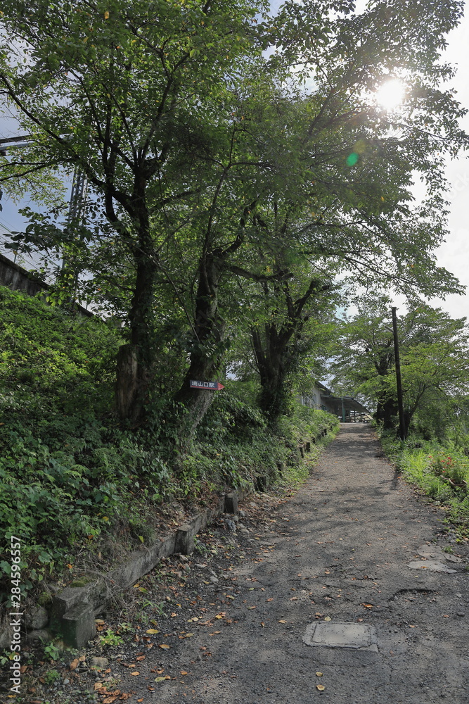 Fototapeta premium 浦山口駅