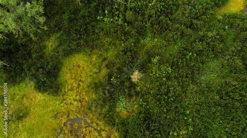 Aerial view of bog lands photo