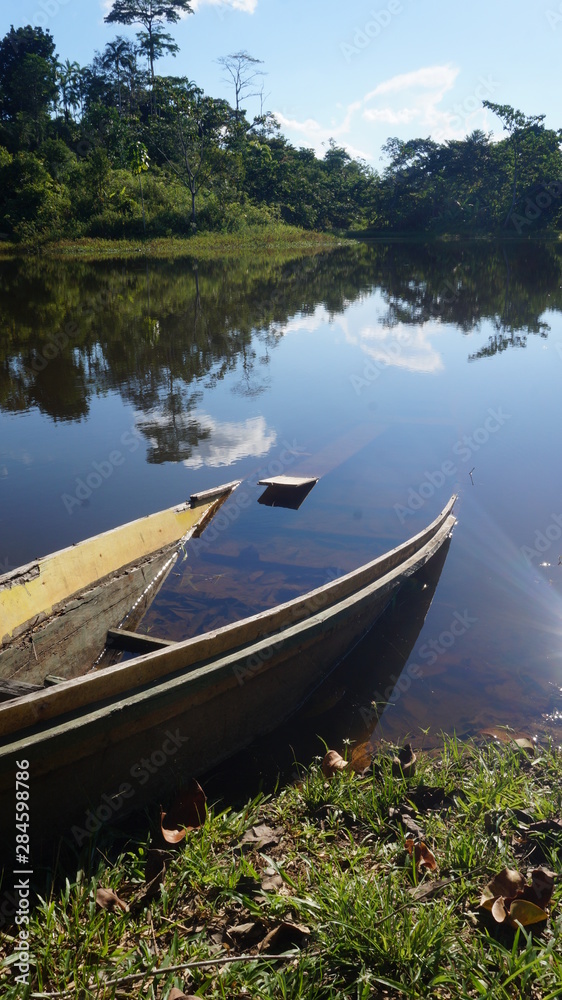canoa tipica da amazônia afundada em lago