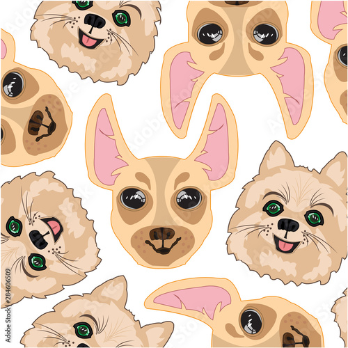 Vector illustration of the mug of the dogs spitz and that terrier pattern