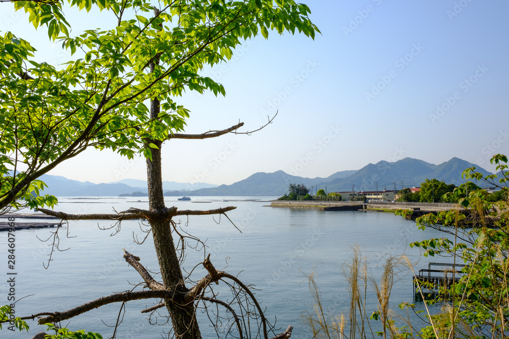 Inland sea near Hiroshima with a tree
