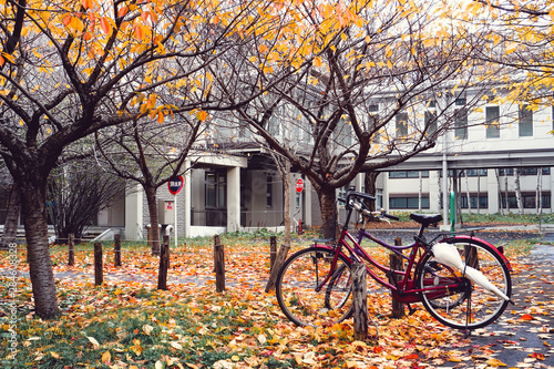 Bicycle in Autumn season at Park