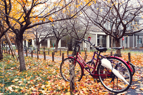 Bicycle in Autumn season at Park