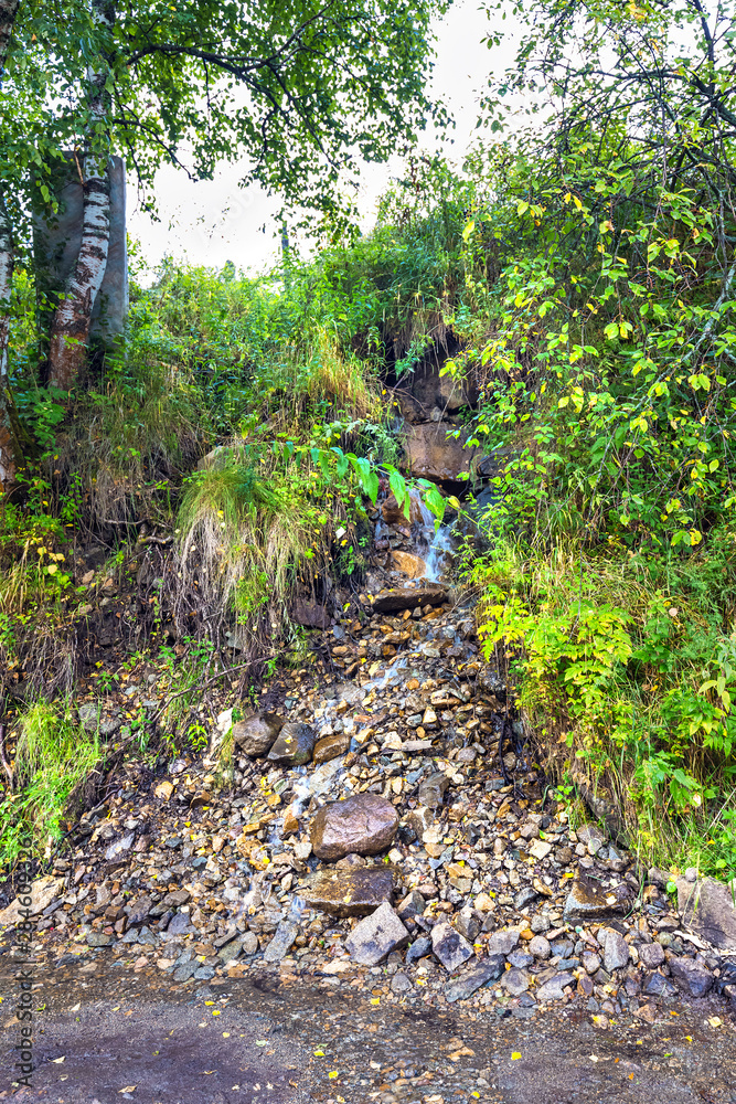Natural spring. Gorny Altai, Siberia, Russia Natural spring. Gorny Altai, Siberia, Russia
