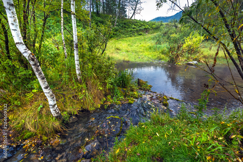 Natural spring. Gorny Altai, Siberia, Russia