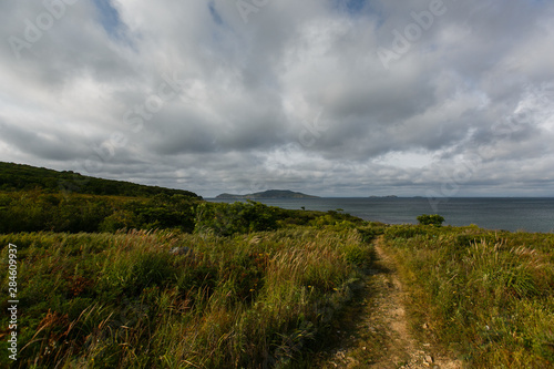 A dirt path in the middle of a green meadow goes into the distance © alexhitrov