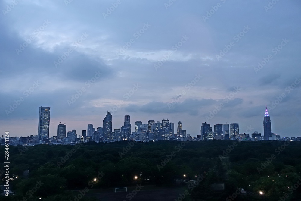 東京 新宿の高層ビル群 夕景　Tokyo skyline  at night