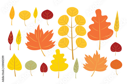 Autumn leaves set. Vector flat illustration isolated on the white background.
