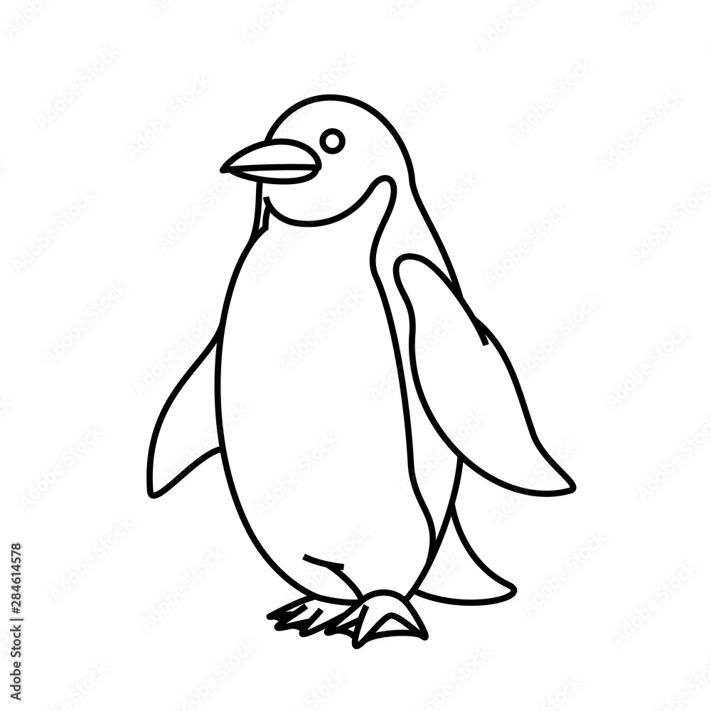 ペンギン ペンギン