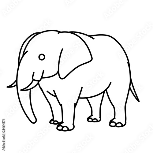 ゾウ