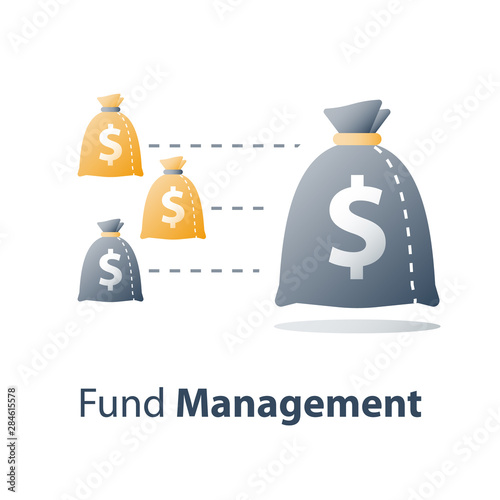 Wealth management, investment fund financial diversification, capital consolidation, different revenue, business loan