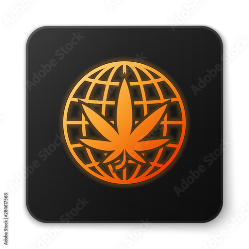 Orange glowing neon Legalize marijuana or cannabis globe symbol icon isolated on white background. Hemp symbol. Black square button. Vector Illustration