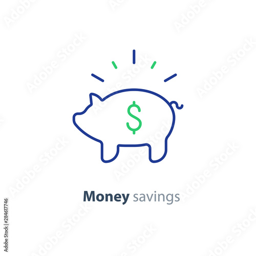 Financial investment  piggy bank money  future savings  budget fund