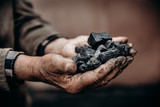 Miner holds coal, palm texture. Concept mining, black stone.