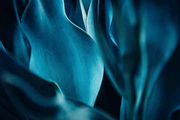 Fotobehang Hotel Abstracte cyaanblauwe bloemen macro  © Parilov