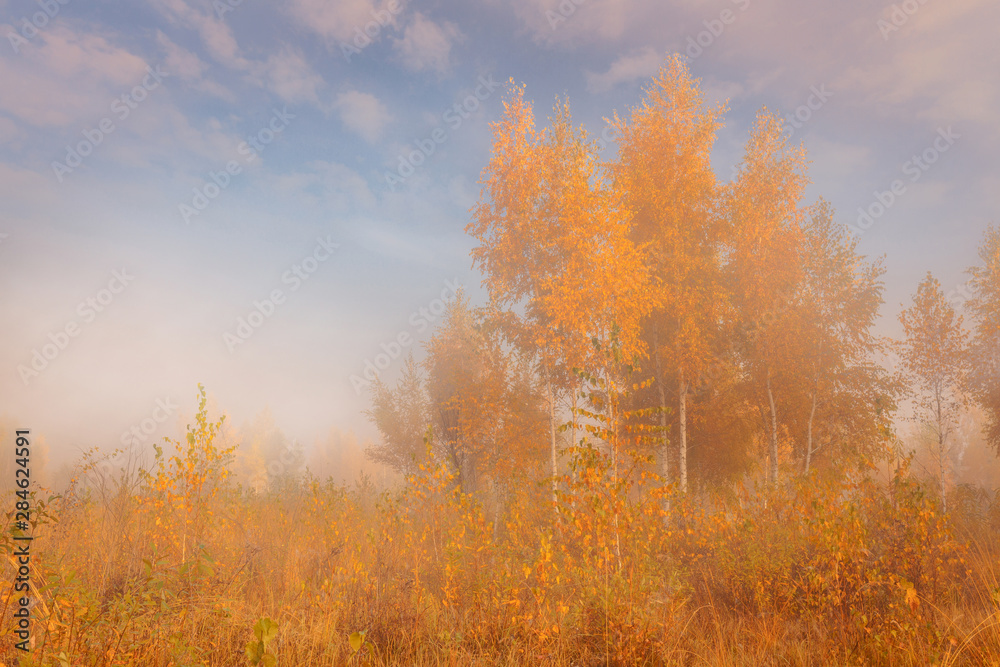 Beautiful autumn sunrise landscape. Foggy morning at scenic golden meadow.