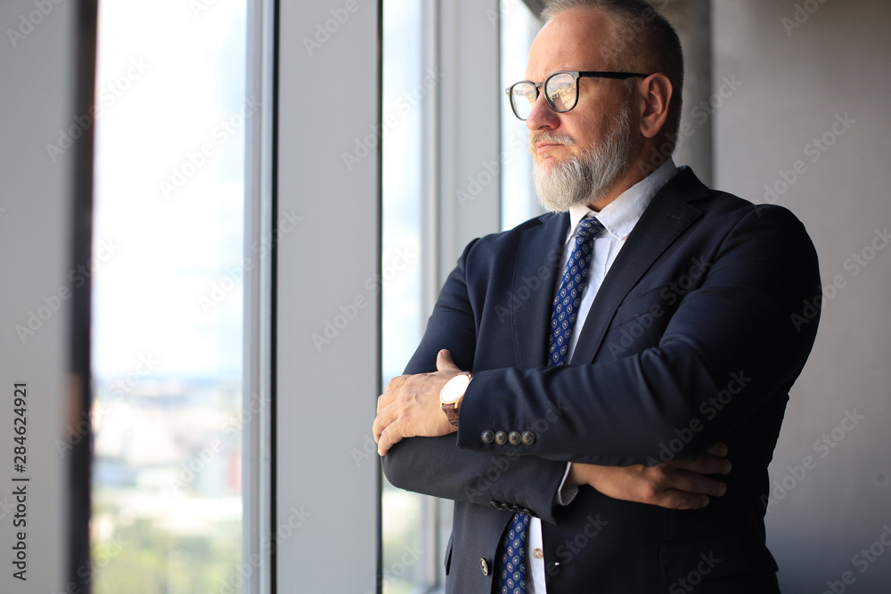 Thoughtful mature business man in full suit looking away while standing near the window. Thoughtful mature business man in full suit looking away while standing near the window.
