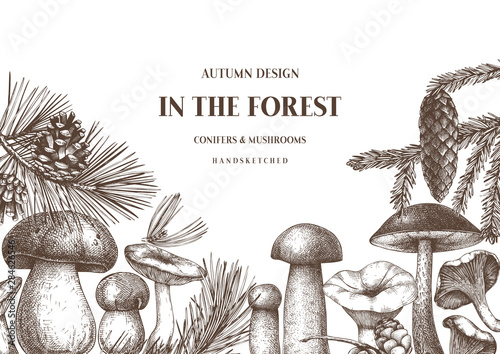 Vector conifers and mushrooms vector design. Hand drawn autumn forest template. Vintage plants sketches. Perfect for recipe, menu, label, icon, packaging. Vintage mushrooms background. 