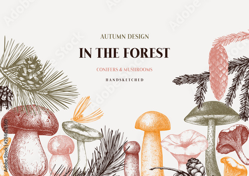 Obraz na plátně Vector conifers and mushrooms vector design