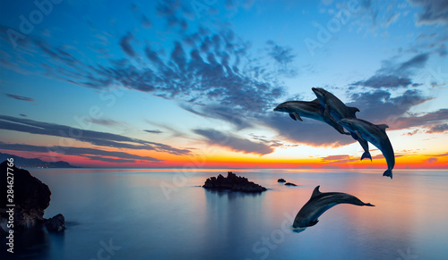 Silhoutte of beautiful dolphin jumping up from the sea at sunset with super moon  Elements of this image furnished by NASA  
