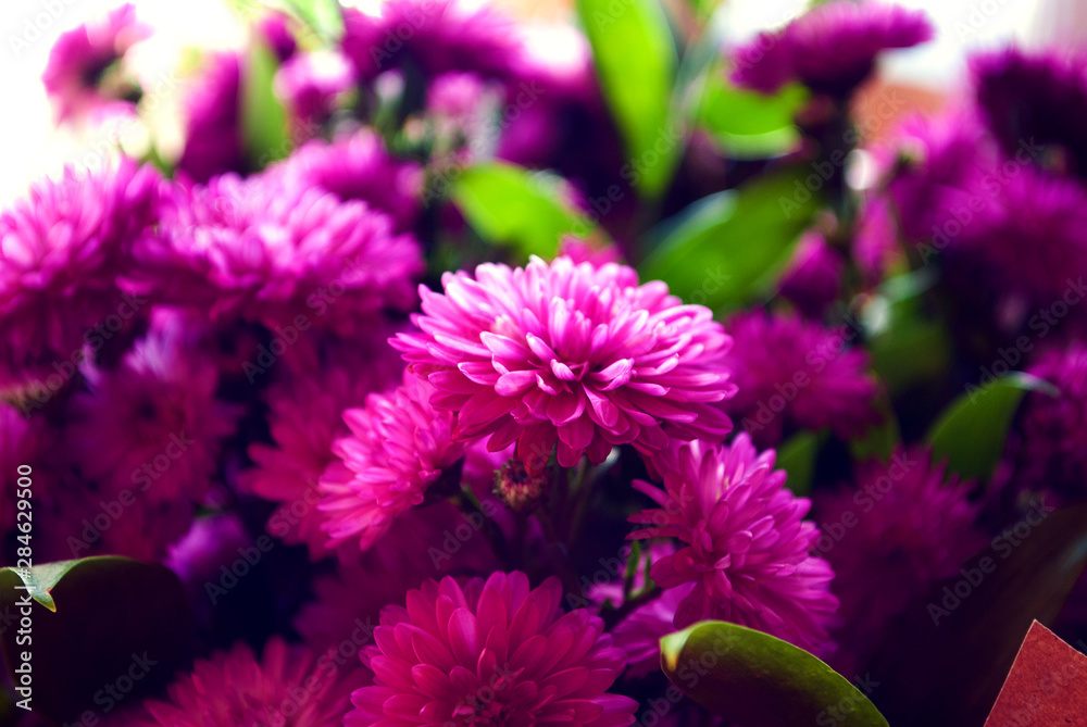 Obraz premium flowers in a bouquet. background. close-up
