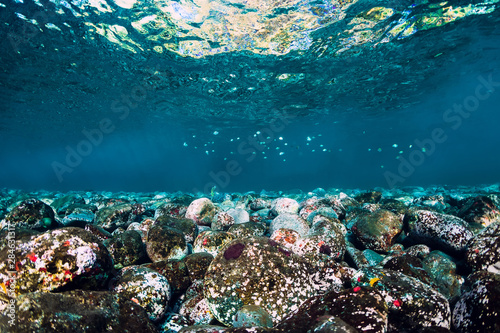 Underwater scene with stones, copy space. Clear tropical ocean