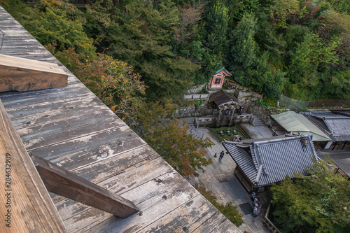 Wallpaper Mural Refreshing summer in Kyoto,Japan Torontodigital.ca