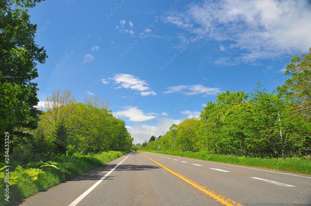 Long straight road in Hokkaido Long straight road in Hokkaido