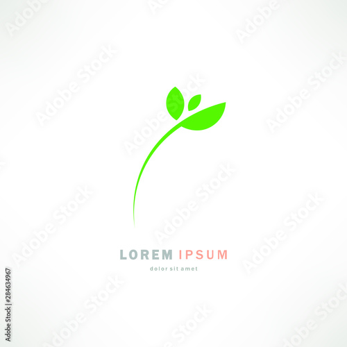 Eco logo. Green leaf