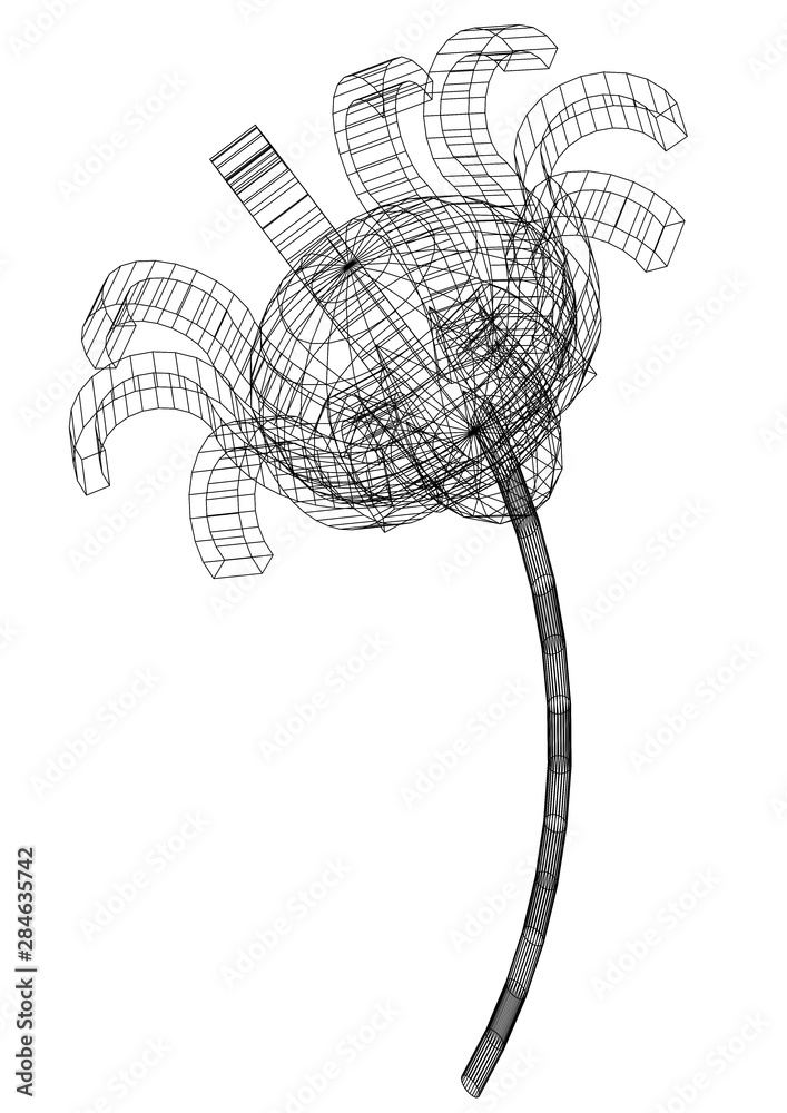 Flower Flower