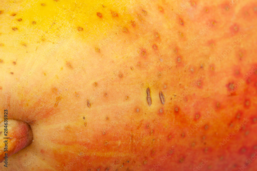 Fototapeta premium Pear skin surface texture pattern close up detail macro. Abstract background.