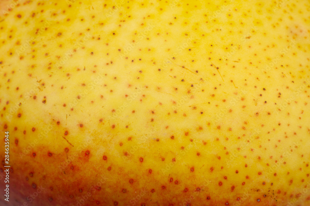 Pear skin surface texture pattern close up detail macro. Abstract background.