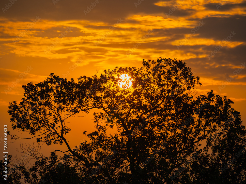 Scenic view of Queen Elizabeth National Park, Uganda Scenic view of Queen Elizabeth National Park, Uganda