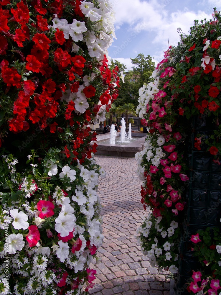 Fototapeta premium red flowers in karlstad