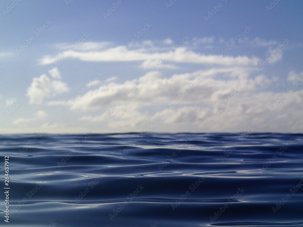 Obraz premium OLYMPUS DIGITAL CAMERA