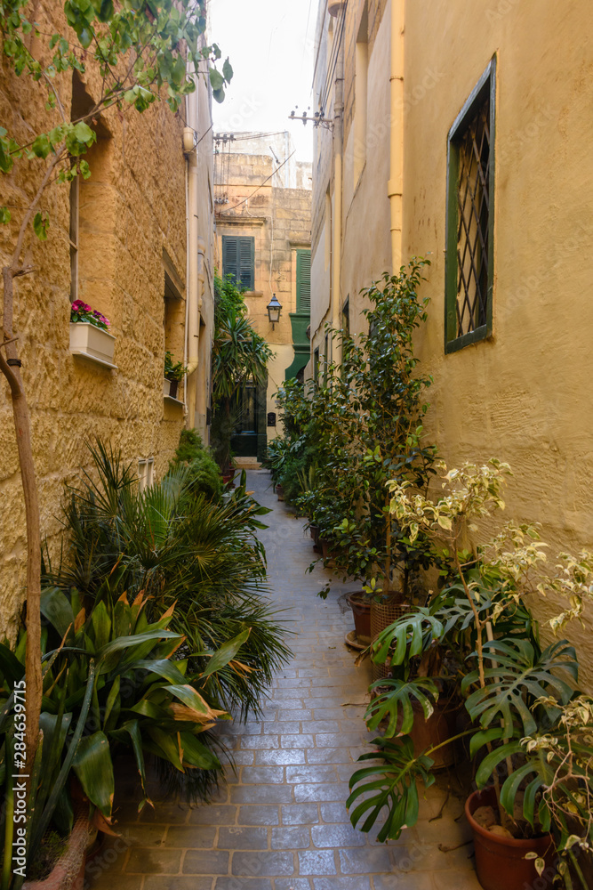 Plants in plant pots line a narrow alleyway in the Victoria Old Town, Gozo, Malta.