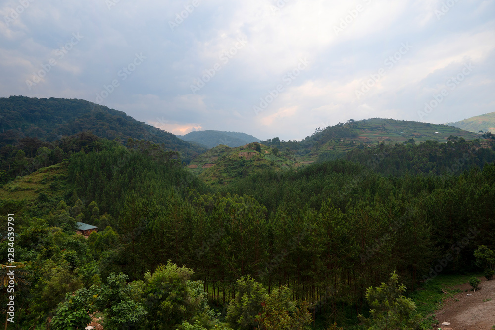 Landscape view of Bwindi Impenetrable Forest, Uganda