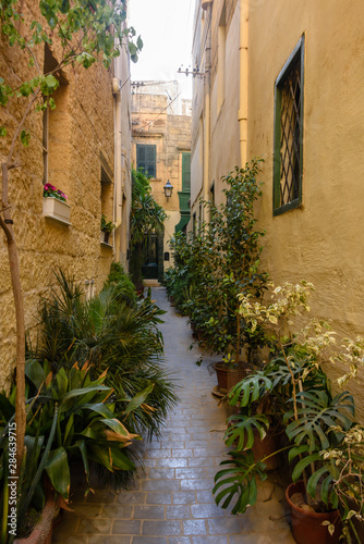 Fototapeta Naklejka Na Ścianę i Meble -  Plants in plant pots line a narrow alleyway in the Victoria Old Town, Gozo, Malta.