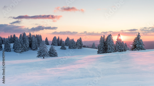 Sonnenuntergang über verschneiten Tannen © Sandro