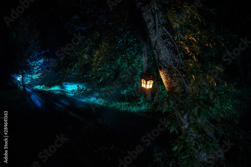 Horror Halloween concept. Burning old oil lamp in forest at night. Night scenery of a nightmare scene. © zef art
