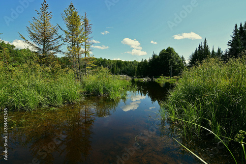 Beavder pond with clouds reflection in northern maine
