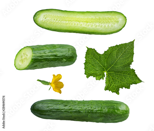 Fresh cucumber with leafs and flower isolated on white background with clipping path