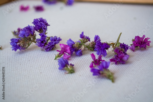 On white background of cotton lie small and multicolored field flowers. Purple and blue.