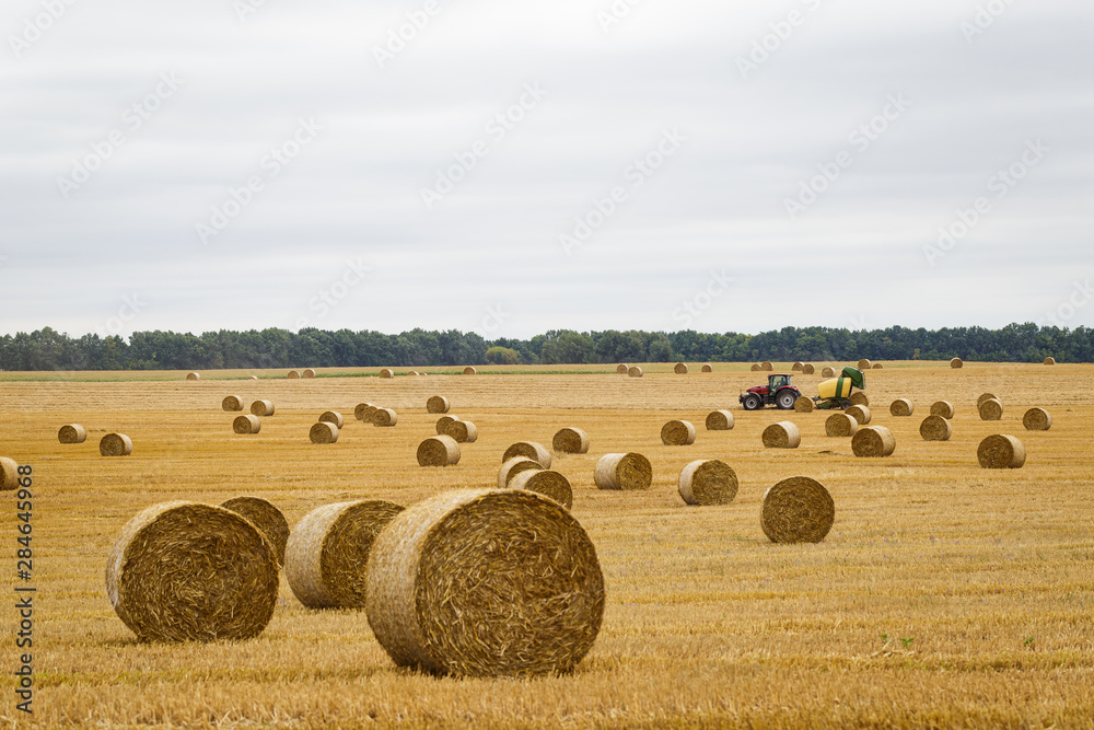Hay roll on a meadow against a cloudy sky on a long focus with a tractor on a background