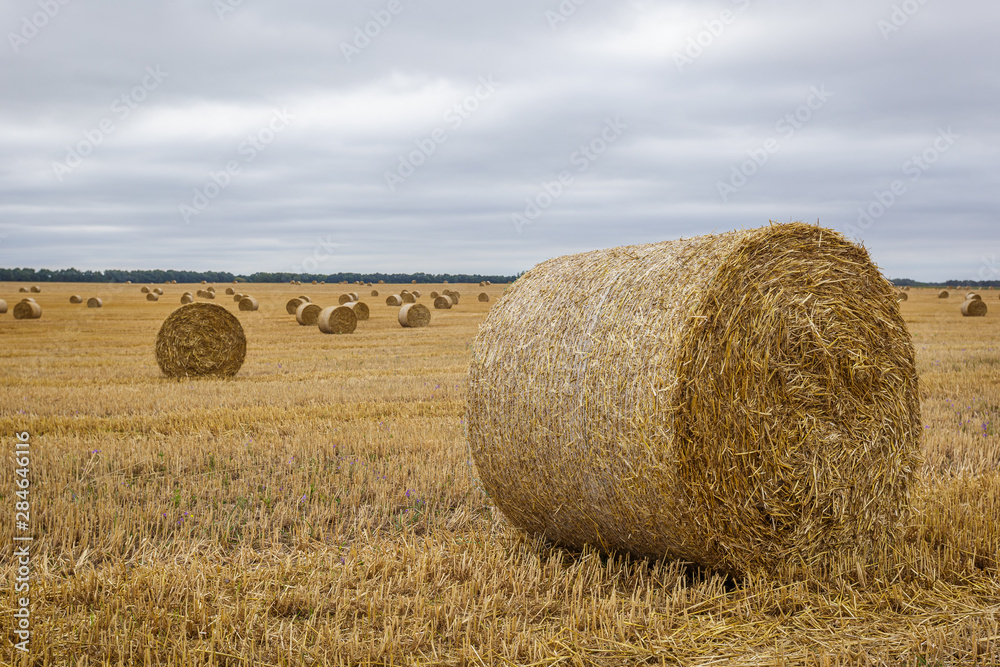 Hay roll in the meadow against a cloudy sky on a wide lens