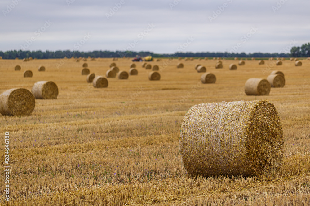 Hay roll on a meadow against a cloudy sky on a long focus with a tractor on a background