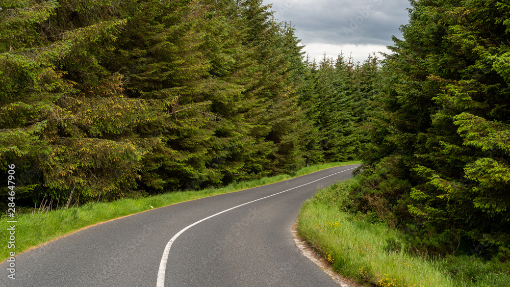 Empty asphalt mountain road through a green fir tree forest. Empty asphalt mountain road through a green fir tree forest.
